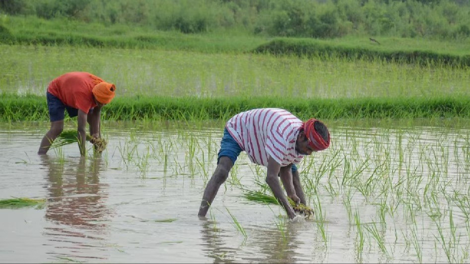 Why the monsoon is delayed this year