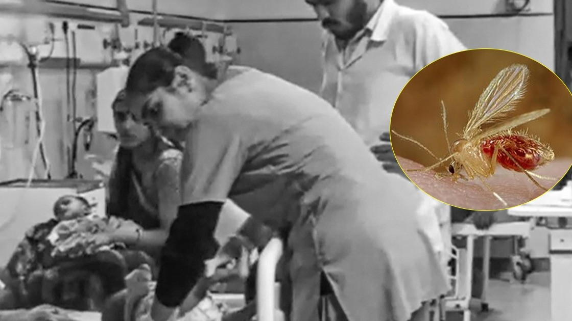 Chandipura virus claims 25 children in Gujarat